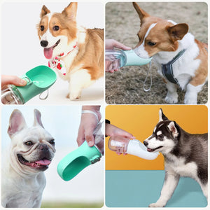 Portable Dog Water Bottle with Integrated Bowl