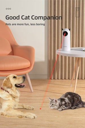 Infrared  Laser Pet Toy