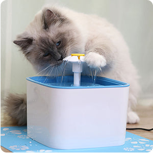 Automatic Filtered Pet Water Dispenser