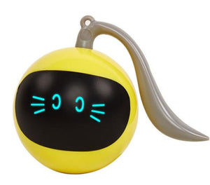 USB Rechargeable Interactive Toy Ball