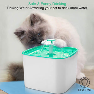 Automatic Filtered Pet Water Dispenser